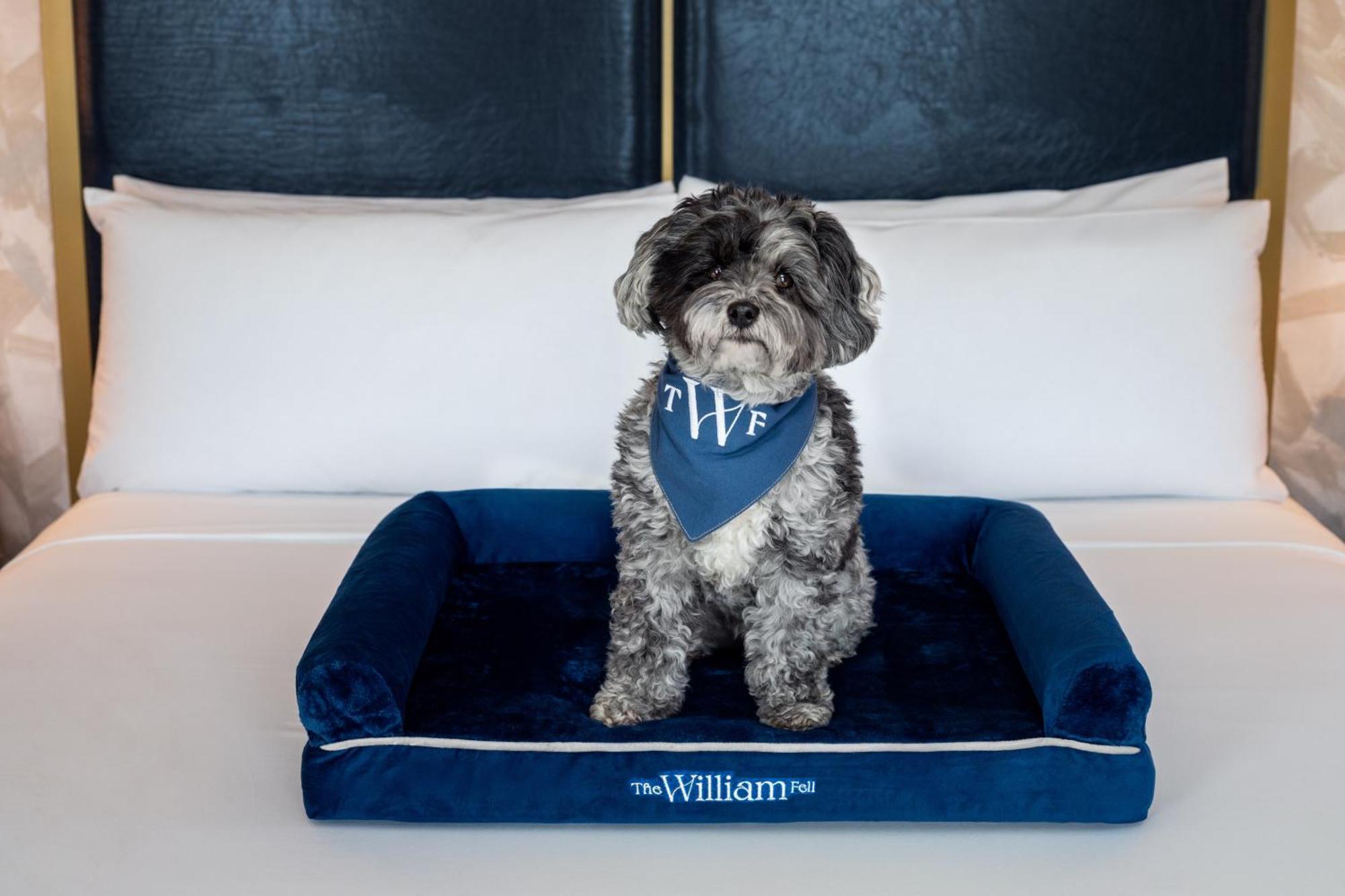 The William Fell Baltimore, Tapestry Collection By Hilton Exteriér fotografie